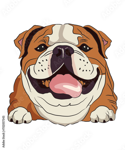 Bull Dog Vector Illustration