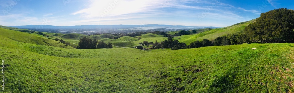 Lush green grass field rolling hills of California landscape wispy clouds countryside panoramic