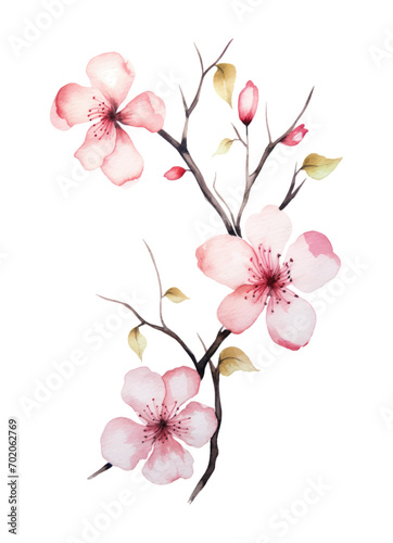 Cherry blossom invitation card design template. Watercolor cherry blossom invitation