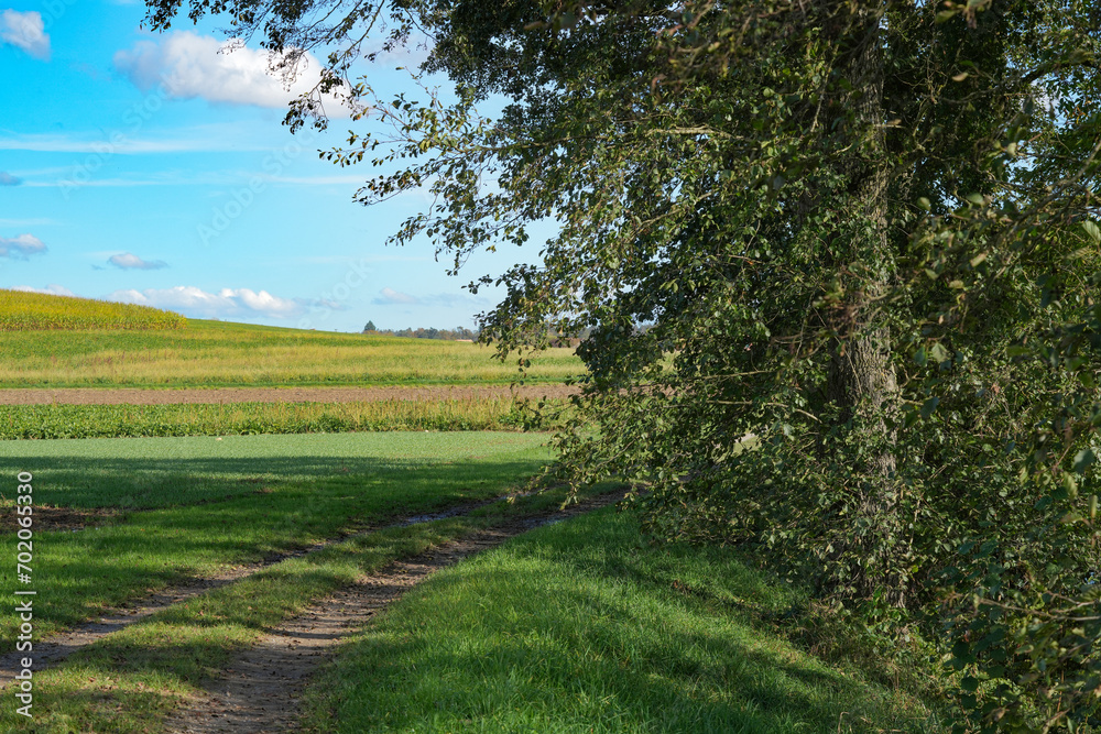 Fototapeta premium Herbstlicher Ausblick auf Wald und Wiese im Oktober