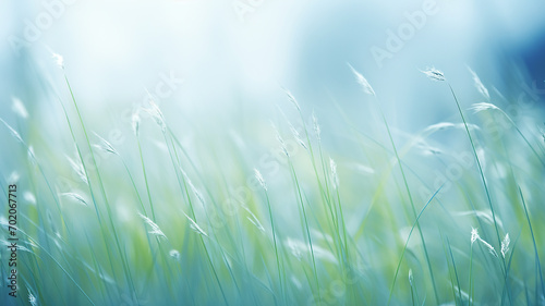 grassfield theme clean blurry blue monochromatic