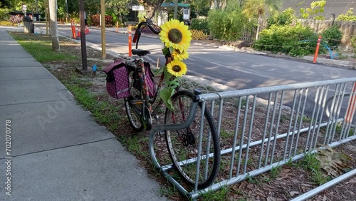 bike on the road, sunflowers, bike on the street