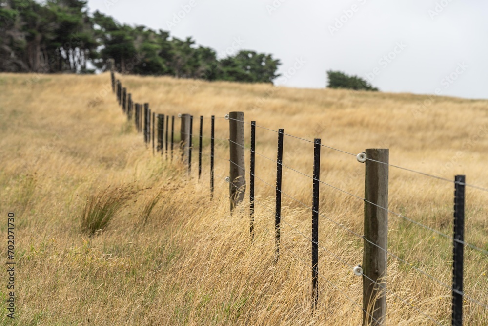electric wire fence on a wooden pine post fence post on a farm in australia in summer