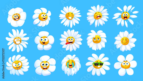 Cartoon chamomile flower characters with funny faces or camomiles smiles, vector icons. Chamomile emoji emoticons, happy daisy or camomile floral baby sad, crying, angry face or laugh with tongue