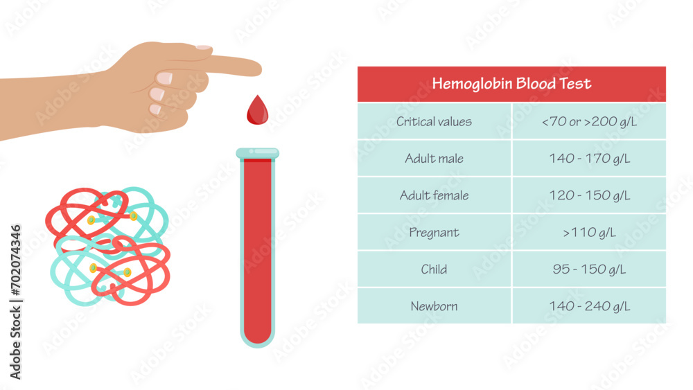 Hemoglobin Hgb Hb Blood Test medical vector illustration infographic ...