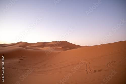 camels in the desert in Morocco