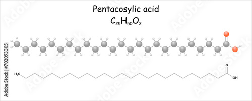 Pentacosylic acid. Stylized molecule model and structural formula. 