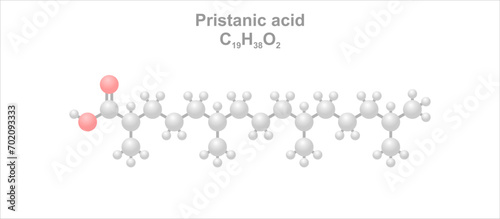 Pristanic acid. Simplified scheme of the molecule. photo