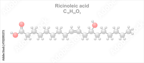 Ricinoleic acid. Simplified scheme of the molecule.