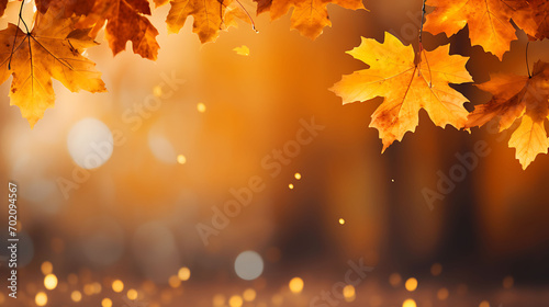 Autumn maple leaves in the park with golden bokeh background,