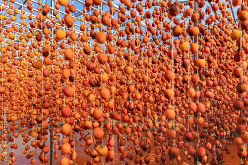Dalat persimmon hanging in the wind, Dried persimmon is a favorite snack in Vietnam, China and South Korea, Japan. photo