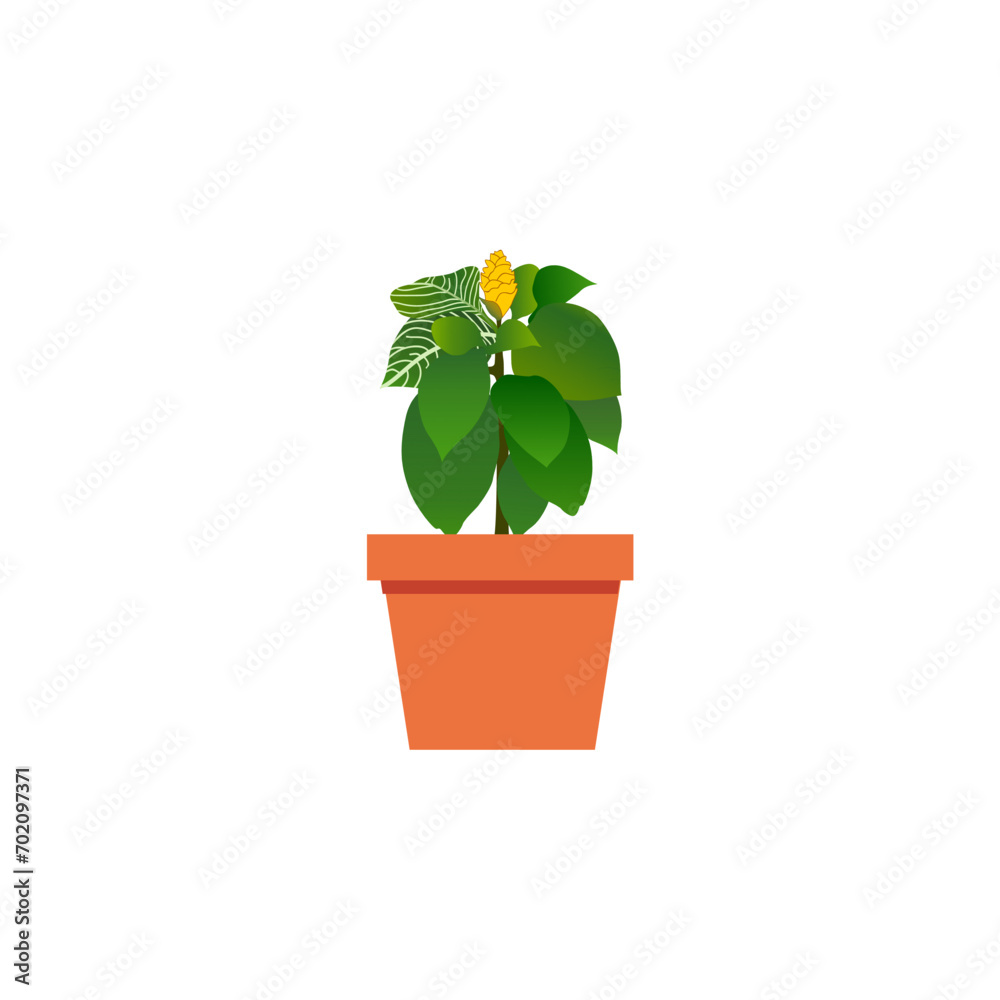 Fototapeta premium set of plants with brown pots plant