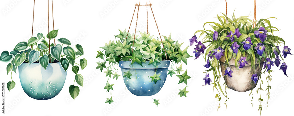 Watercolor illustration hanging plants