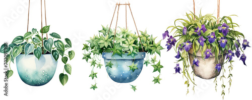 Watercolor illustration hanging plants