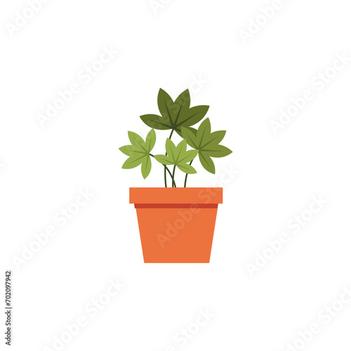 set of plants with brown pots plant