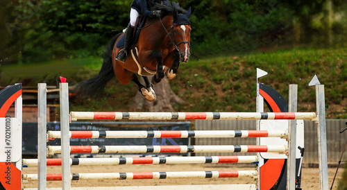 Brown horse jumping over a treble bar with its legs drawn up.