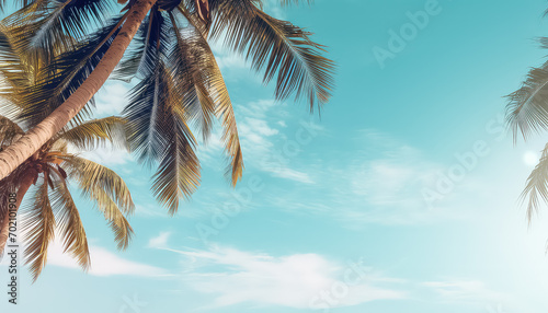 Sky and palm tree on summer background on the beach © terra.incognita