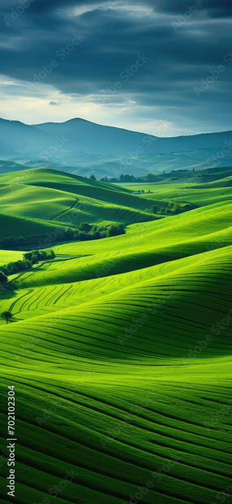 rolling green hills extending away into a gigantic mountain