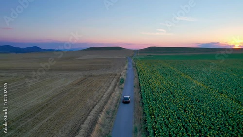 Cinematic aerial shot of hybrid car drive crossing along an sunflower agricultural field at sunrise, sunset photo