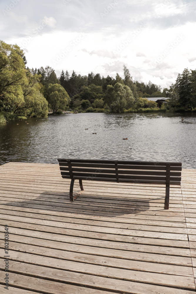 Wooden bench at a relaxing park in the town called Braunlage, Lower Saxony, Germany with a small pond surrounded by trees.