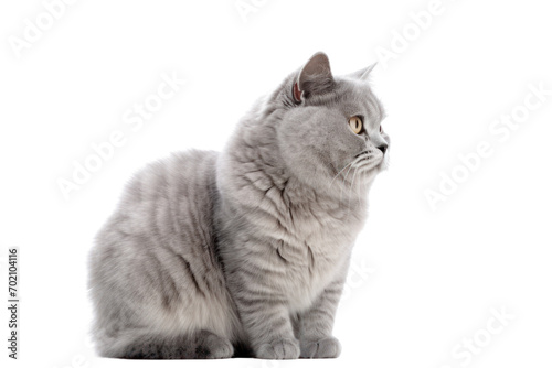 A cute little orange-gray kitten lies on its back with its front legs raised up to its ears and its eyes closed.isolated on transparent background,png file photo