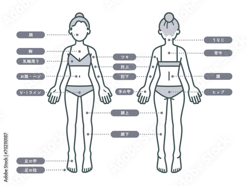 女性の脱毛部位の説明