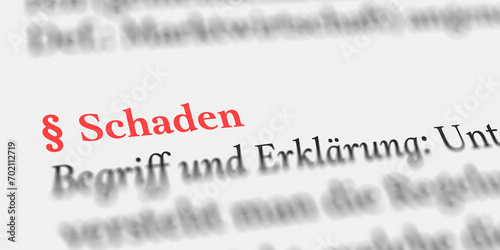 Das Wort Schaden im Buch erklärt mit Paragraph Zeichen