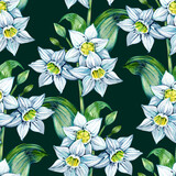Daffodil Eucharis blossom seamless pattern. Hand drawn narcissus flowers. Soft floral for natural or romantic design, fabric, wrapping, paper dishes prints.