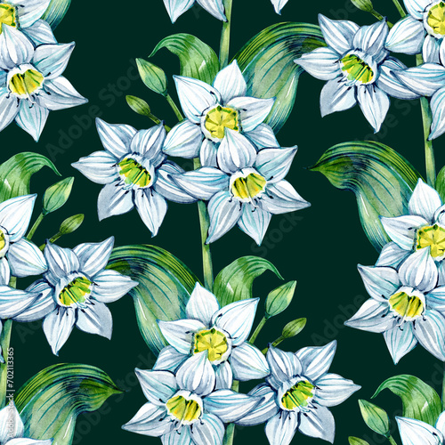 Daffodil Eucharis blossom seamless pattern. Hand drawn narcissus flowers. Soft floral for natural or romantic design  fabric  wrapping  paper dishes prints.
