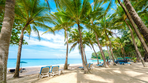 Surin Beach Phuket a tropical beach with beach chairs and palm trees on a sunny day © Fokke Baarssen