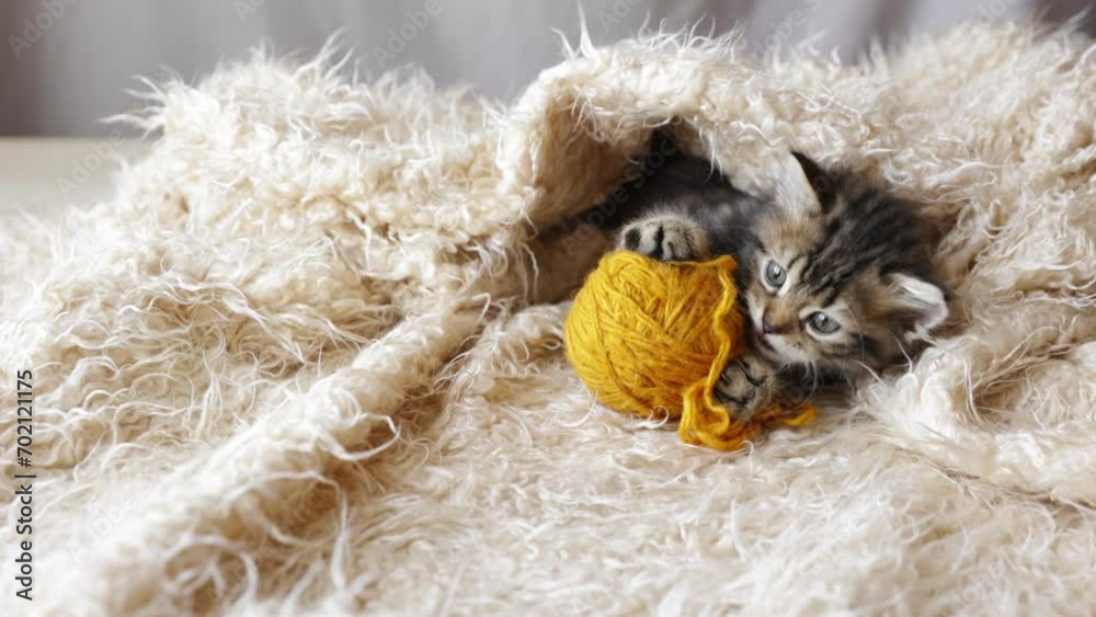 A cute little fluffy pet kitten is playing with a ball of thread on a fur blanket, top view A cute little fluffy pet kitten is playing with a ball of thread on a fur blanket, top view