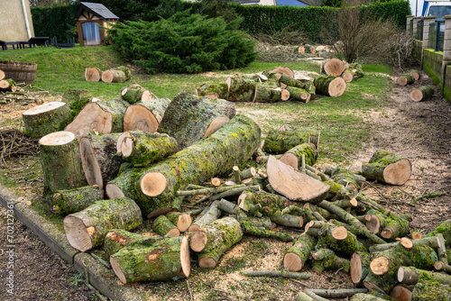 Foto Elagage et coupe d'arbres chez un particulier