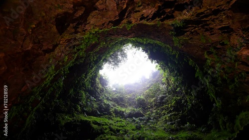 Inside of inactive volcanic vent of Algar do Carvao covered with plants. Terceira, Azores photo