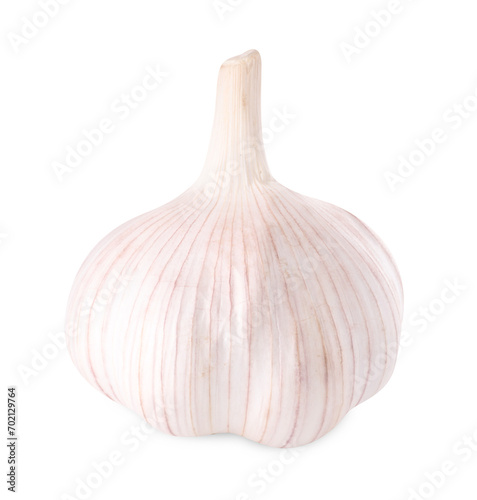 Head of fresh garlic isolated on white