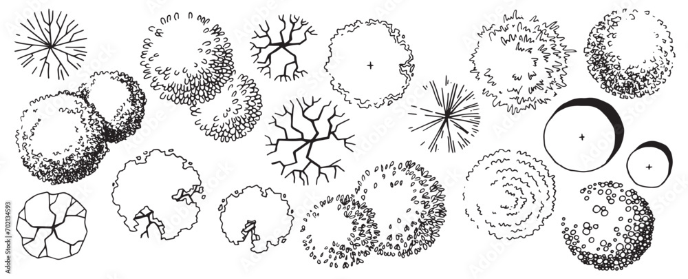 set of trees, hand drawing, top view. architectural ink drawing, vector.