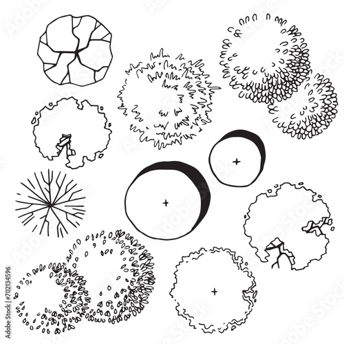 set of trees, hand drawing, top view. architectural ink drawing, vector.
