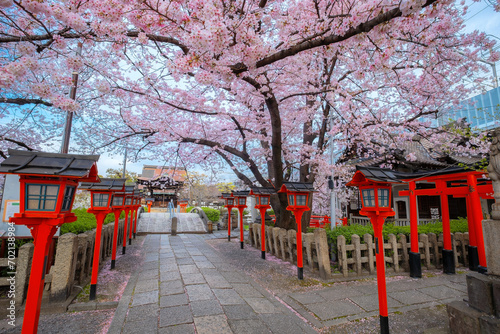 Rokusonno shrine built in 963, enshrines MInamota no Tsunemoto the 6th grandson of Emperor Seiwa. It's one of the best cherryblossom viewing spots in Kyoto photo