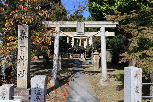 Canvas Print A Japanese shrine in Kyoto : a scene of the entrance of Kasuga-jinjya Shrine 京都に