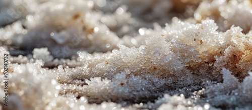 Closeup on fresh salt crystals and saltwater in a salt marsh in Brittany France. with copy space image. Place for adding text or design