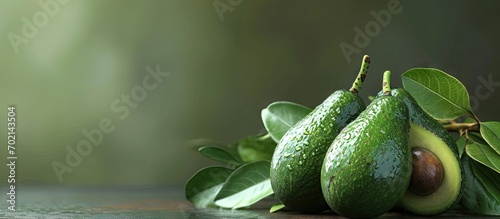 Green ripe avocado from organic avocado plantation. with copy space image. Place for adding text or design