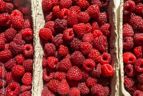 Fresh raspberries in paper containers, top view