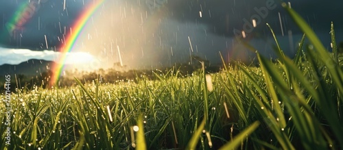 Agriculture Rice field floo...