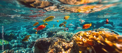 Abstract shot of a Colorful...