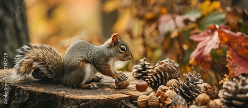 Autumn crafts Children s fall crafts and creativity Squirrel made from modeling clay cones and nuts on dry stump Ideas for children s art hometime hobby daycare education for kids photo