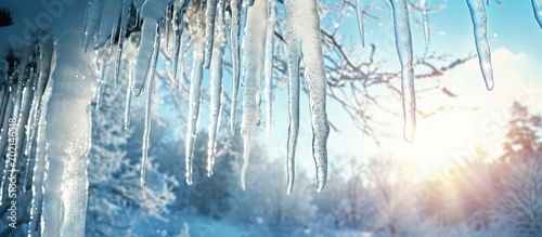 Beautiful shiny transparent icicles hang on a clear day Winter background with hanging icicles. with copy space image. Place for adding text or design