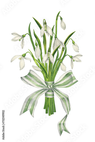Bouquet of snowdrops with a striped ribbon. Delicate spring watercolor illustration. Wild spring flowers. Botanical illustration