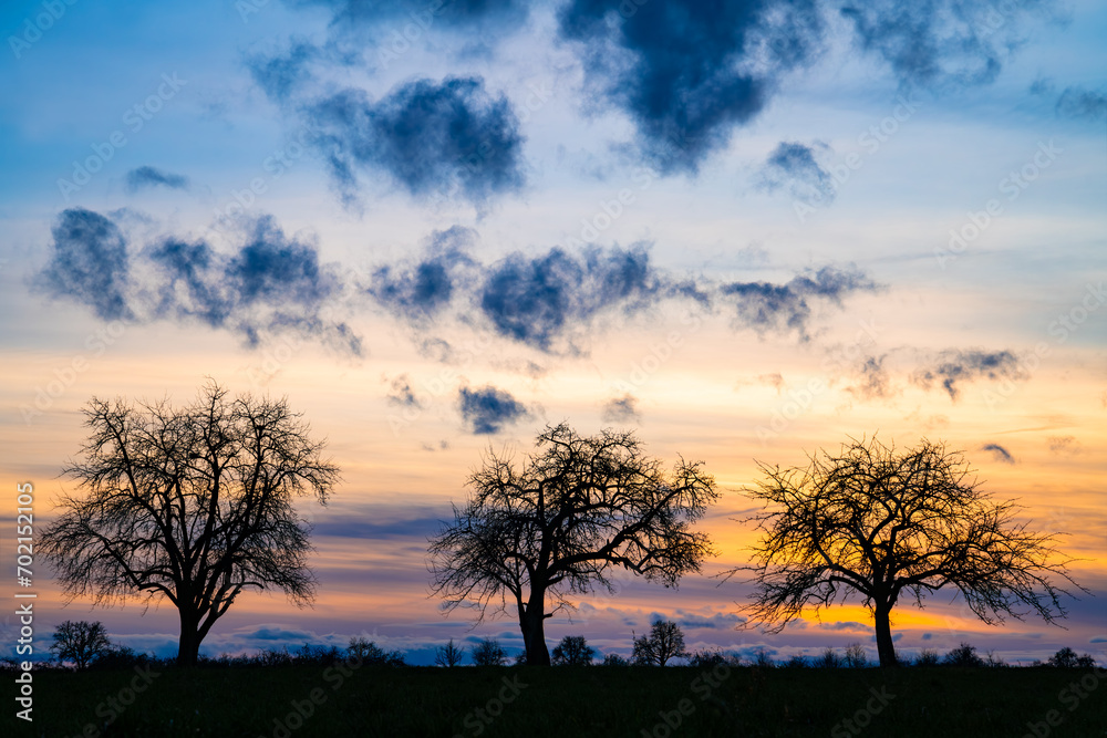 Three bare fruit tree silhouettes in Tübingen, Germany on a winters evening with colourful sunset and small clouds. Colorful sky gradient and shapes of trunks, branches and twigs in rural landscape. Three bare fruit tree silhouettes in Tübingen, Germany on a winters evening with colourful sunset and small clouds. Colorful sky gradient and shapes of trunks, branches and twigs in rural landscape.