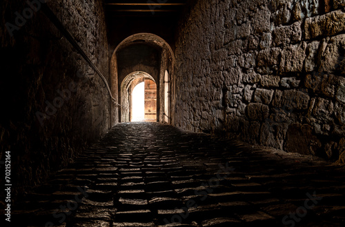 Tunnel passage in the historic castle of T  bingen  Germany. Dark walkway with cobblestone floor leading to an open wooden door. Sunlight flashing into the mystic and scary gateway with brick walls.