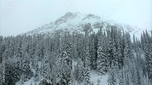 Deep powder snow cinematic aerial Colorado Loveland Ski Resort Eisenhower Tunnel Coon Hill backcountry i70 heavy winter spring snow Continential Divide Rocky Mountains snow cover pine trees upward photo