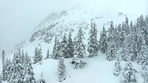Deep powder trees snowing cinematic aerial Colorado Loveland Ski Resort Eisenhower Tunnel Coon Hill backcountry i70 heavy winter spring snow Continential Divide Rocky Mountains covered pine circling photo